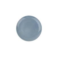 Canvas Shell Bisque Salad Plate, Set of 4