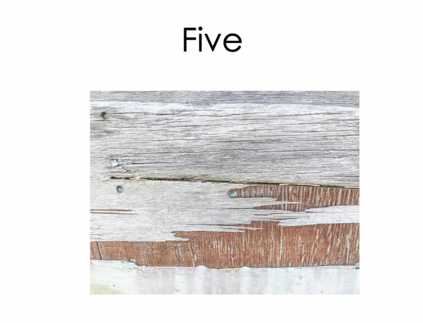 Deborah Feingold - Greenport Shipyard Boat #5